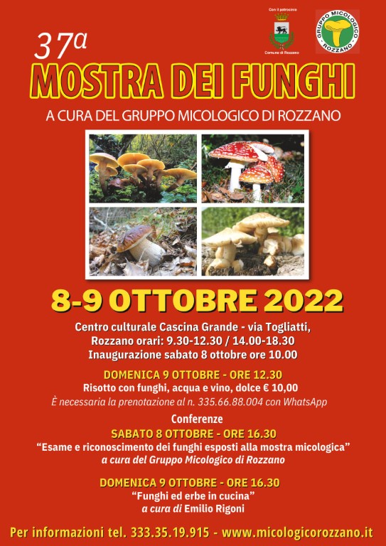 Apertura            mostra 2022