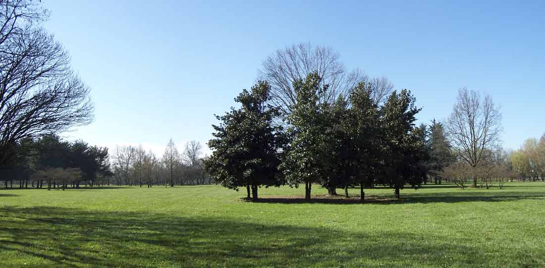 panoramica parco 2 vista nord