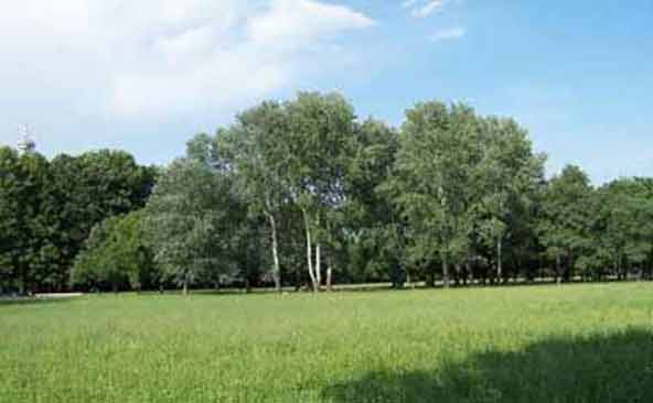 Vista Parco 2 Rozzano