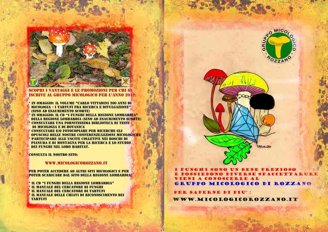 volantino 2012 pagine 1 e 4