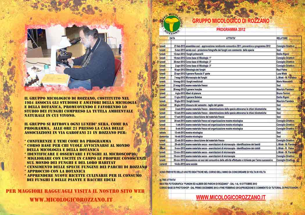volantino 2012 pagine 2 e 3
